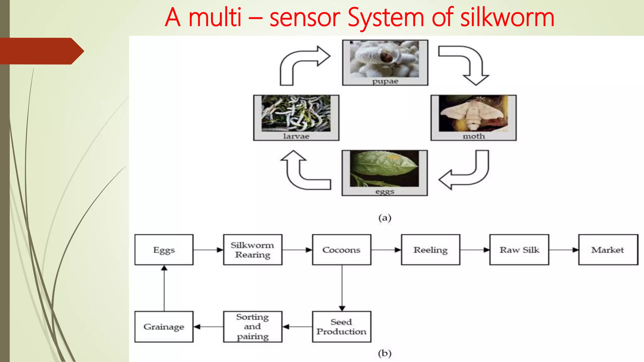 A multi – sensor System of silkworm
 