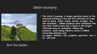 presentation on sikkim and culture for class 9