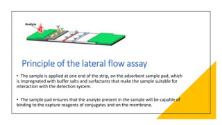 Principle of the lateral flow assay
• The sample is applied at one end of the strip, on the adsorbent sample pad, which
is impregnated with buffer salts and surfactants that make the sample suitable for
interaction with the detection system.
• The sample pad ensures that the analyte present in the sample will be capable of
binding to the capture reagents of conjugates and on the membrane.
 