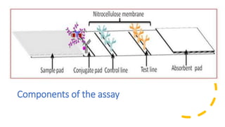 Components of the assay
 