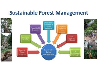 Presentation1 (1).pptx