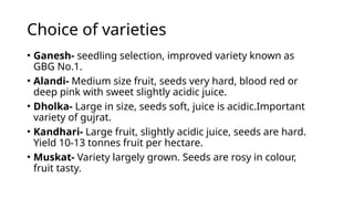 Choice of varieties
• Ganesh- seedling selection, improved variety known as
GBG No.1.
• Alandi- Medium size fruit, seeds very hard, blood red or
deep pink with sweet slightly acidic juice.
• Dholka- Large in size, seeds soft, juice is acidic.Important
variety of gujrat.
• Kandhari- Large fruit, slightly acidic juice, seeds are hard.
Yield 10-13 tonnes fruit per hectare.
• Muskat- Variety largely grown. Seeds are rosy in colour,
fruit tasty.
 