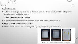 Metal Ion Separation and Identification Using Paper Chromatography: A ...