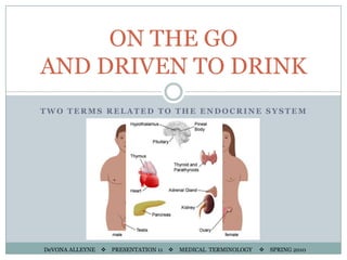 Two terms related to the endocrine system ON THE GO AND DRIVEN TO DRINK DeVONA ALLEYNE    v    PRESENTATION 11    v MEDICAL  TERMINOLOGY     v SPRING 2010 