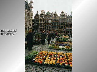 Fleurs dans la Grand-Place  