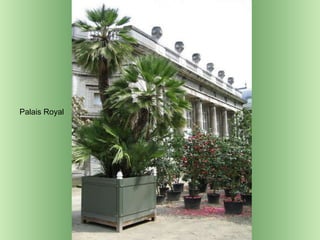 Palais Royal  