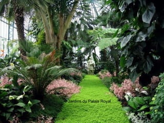 Jardins du Palais Royal  