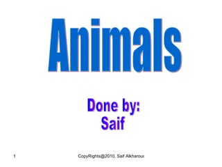 Animals Done by: Saif 
