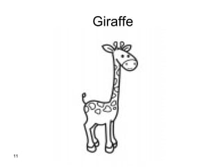 Giraffe  
