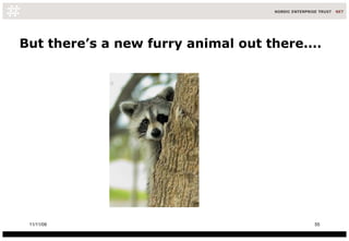 But there’s a new furry animal out there....   11/11/09 