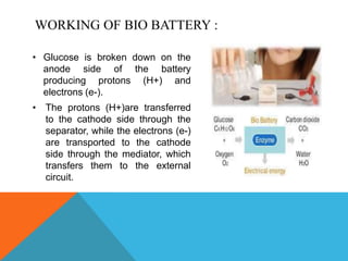 WORKING OF BIO BATTERY :
• Glucose is broken down on the
anode side of the battery
producing protons (H+) and
electrons (e-).
• The protons (H+)are transferred
to the cathode side through the
separator, while the electrons (e-)
are transported to the cathode
side through the mediator, which
transfers them to the external
circuit.
 