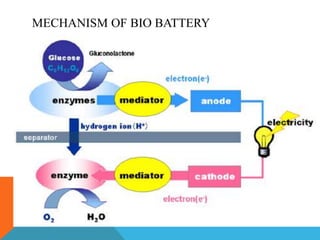 MECHANISM OF BIO BATTERY
 