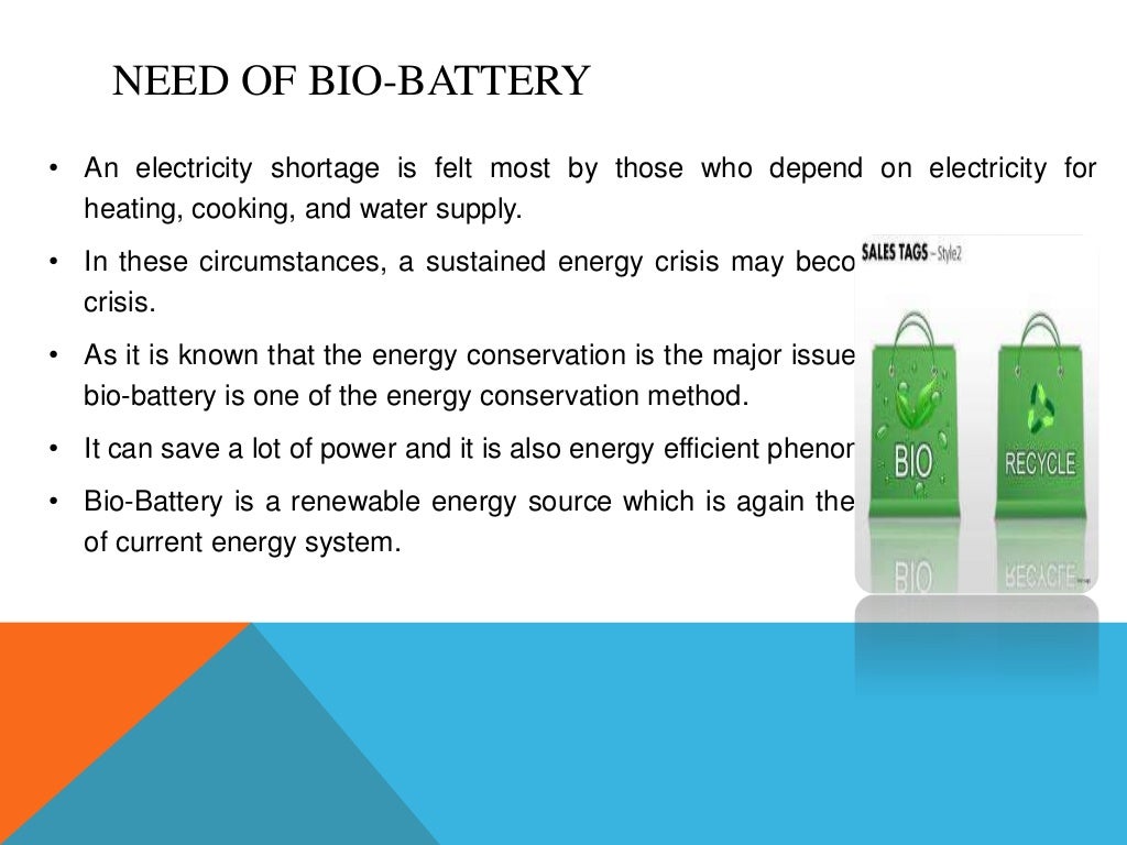bio battery ppt