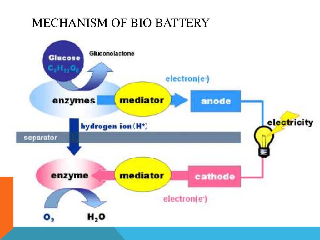 bio battery ppt