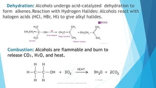 Halogen Burn Presentation 1 organic chemistry (1) AA.pdf