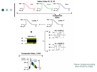 Figure: Analog encoding from R'G'B' to CVBS.   