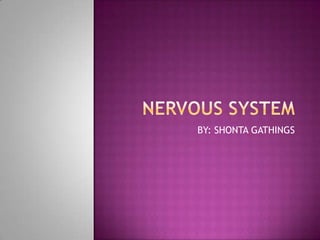 NERVOUS SYSTEM BY: SHONTA GATHINGS 