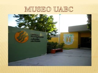 MUSEO UABC 1 