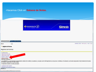 -Hacemos Click en Sabana de Notas.
 