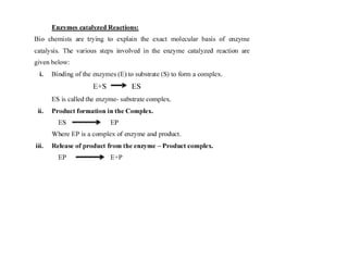 laboratory fermentation