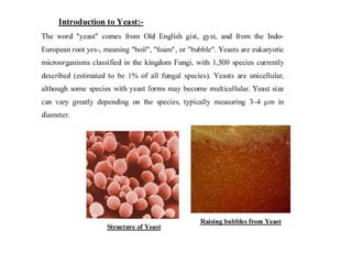 laboratory fermentation
