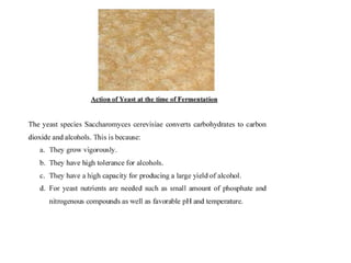laboratory fermentation