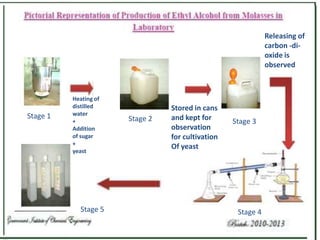 Releasing of
carbon -dioxide is
observed

Stage 1

Heating of
distilled
water
+
Addition
of sugar
+
yeast

Stage 5

Stage 2

Stored in cans
and kept for
observation
for cultivation
Of yeast

Stage 3

Stage 4

 