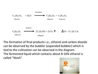 The formation of final products i.e., ethanol and carbon dioxide
can be observed by the bubbler (expanded bubbler) which is
tied to the cultivation can be observed in the diagram.
The fermented liquid which contains about 8-10% ethanol is
called “Wash”.

 