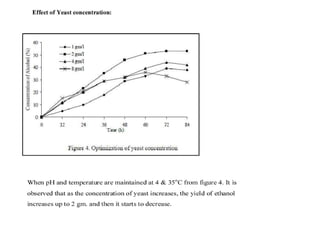 laboratory fermentation