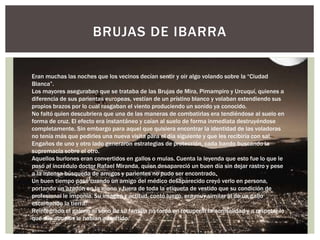 BRUJAS DE IBARRA 
Eran muchas las noches que los vecinos decían sentir y oir algo volando sobre la “Ciudad 
Blanca”. 
Los mayores aseguraban que se trataba de las Brujas de Mira, Pimampiro y Urcuquí, quienes a 
diferencia de sus parientas europeas, vestían de un prístino blanco y volaban extendiendo sus 
propios brazos por lo cual rasgaban el viento produciendo un sonido ya conocido. 
No faltó quien descubriera que una de las maneras de combatirlas era tendiéndose al suelo en 
forma de cruz. El efecto era instantáneo y caían al suelo de forma inmediata destruyéndose 
completamente. Sin embargo para aquel que quisiera encontrar la identidad de las voladoras 
no tenía más que pedirles una nueva visita para el día siguiente y que les recibiría con sal. 
Engaños de uno y otro lado generaron estrategias de protección, cada bando buscando la 
supremacía sobre el otro. 
Aquellos burlones eran convertidos en gallos o mulas. Cuenta la leyenda que esto fue lo que le 
pasó al incrédulo doctor Rafael Miranda, quien desapareció un buen día sin dejar rastro y pese 
a la intensa búsqueda de amigos y parientes no pudo ser encontrado. 
Un buen tiempo pasó cuando un amigo del médico desaparecido creyó verlo en persona, 
portando un azadón en la mano y fuera de toda la etiqueta de vestido que su condición de 
profesional le imponía. Su imagen y actitud, contó luego, era muy similar al de un gallo 
escarbando la tierra. 
Reintegrado el galeno al seno de su familia no tardó en recuperar la normalidad y a respetar lo 
que sus abuelos le habían advertido. 
 