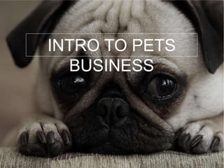 INTRO TO PETS
BUSINESS
 