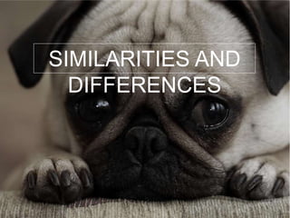 SIMILARITIES AND
DIFFERENCES
 