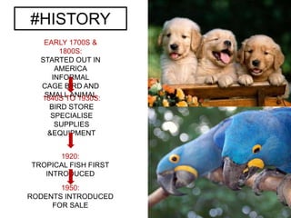 EARLY 1700S &
1800S:
STARTED OUT IN
AMERICA
INFORMAL
CAGE BIRD AND
SMALL ANIMAL
#HISTORY
1840S TO 1930S:
BIRD STORE
SPECIALISE
SUPPLIES
&EQUIPMENT
1950:
RODENTS INTRODUCED
FOR SALE
1920:
TROPICAL FISH FIRST
INTRODUCED
 