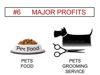 #6 MAJOR PROFITS
PETS
FOOD
PETS
GROOMING
SERVICE
 