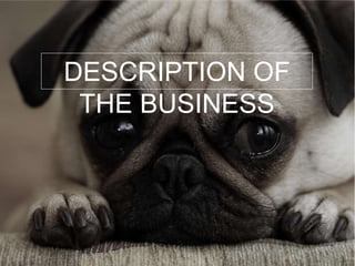 DESCRIPTION OF
THE BUSINESS
 