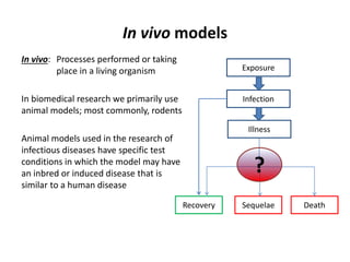 Experimental Models of Infectious Diseaase | PPTX