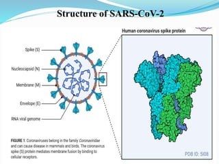 Structure of SARS-CoV-2
 