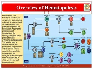Overview of Hematopoiesis
Image source- https://www.ncbi.nlm.nih.gov/pmc/articles/PMC3666375/
 
