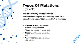 Genotype Mutation Presentation 12 .pptx