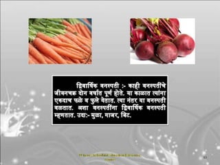 सजीवांचे वर्गीकरण