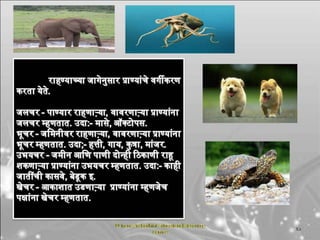 सजीवांचे वर्गीकरण