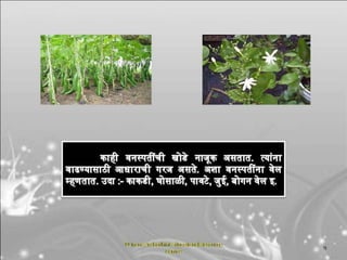 सजीवांचे वर्गीकरण