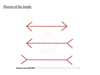 Illusion of the length
 