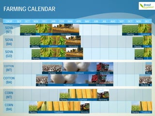 FARMING CALENDAR
 CROP    SEP   OCT          NOV        DEC         JAN       FEB        MAR     APR         MAY     JUN       JUL       AUG   SEP    OCT         NOV         DEC

SOYA
(MT)
               Planting              Treatment                Harvesting                                                            Planting          Treatment

SOYA
(BA)
                          Planting               Treatment              Harvesting                                                             Planting      Treat..

SOYA
(GO)
                          Planting               Treatment               Harvesting                                                             Planting       T.


COTTON
 (MT)
                                             Planting                         Treatment                    Harvesting                                         Plant.

COTTON
 (BA)
                                  Planting                        Treatment                          Harvesting                                        Planting T.


CORN
 (MT)
                                                             Planting                Treatment            Harvesting

CORN
 (BA)
                    Planting                          Treatment                        Harvesting                                        Planting         Treatment
 