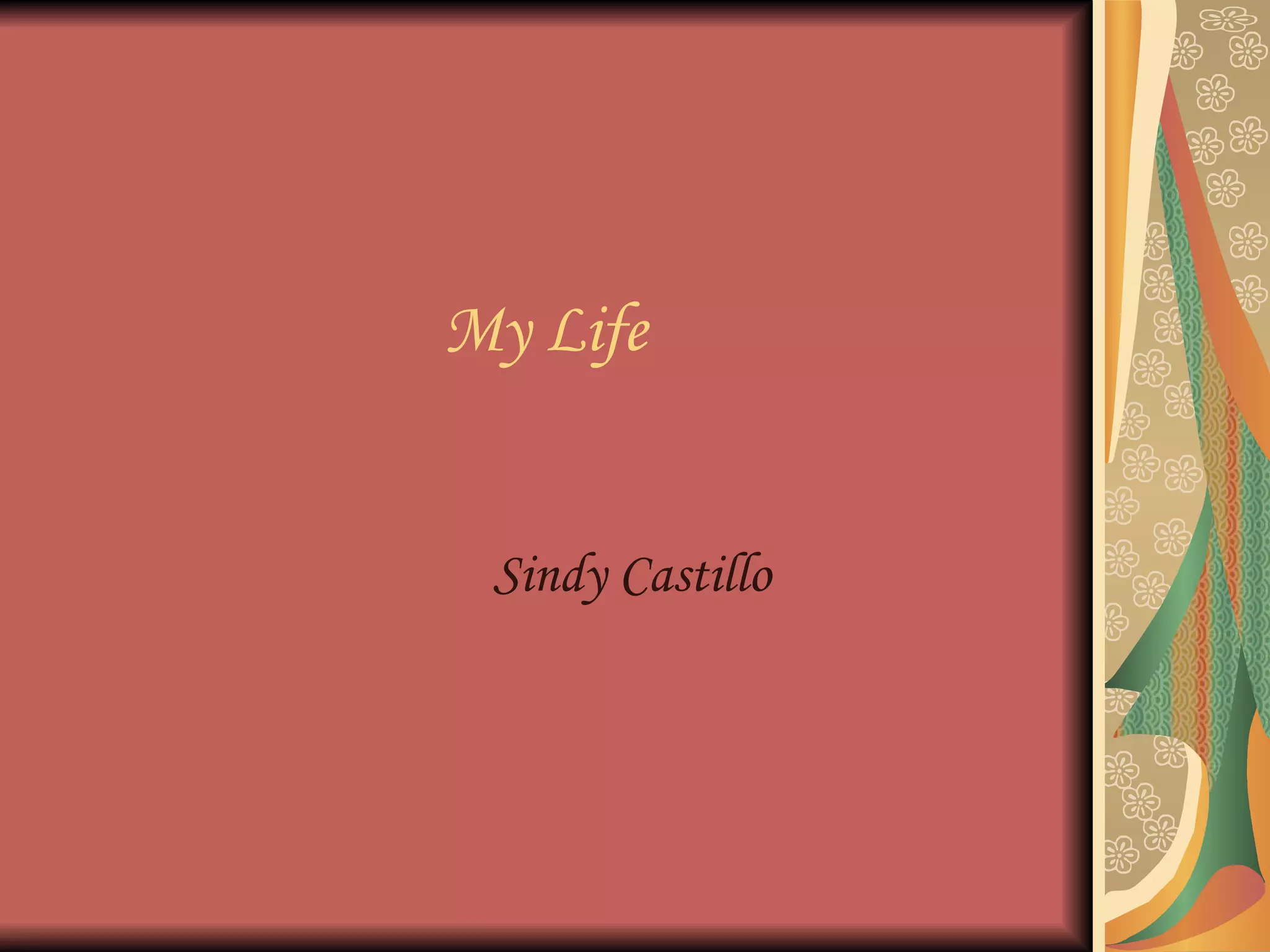 My Life Sindy Castillo