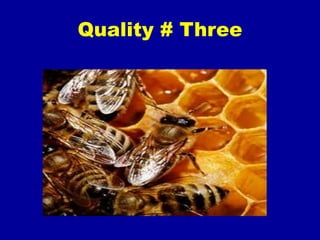Quality # Three
 
