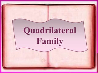 Quadrilateral
  Family
 