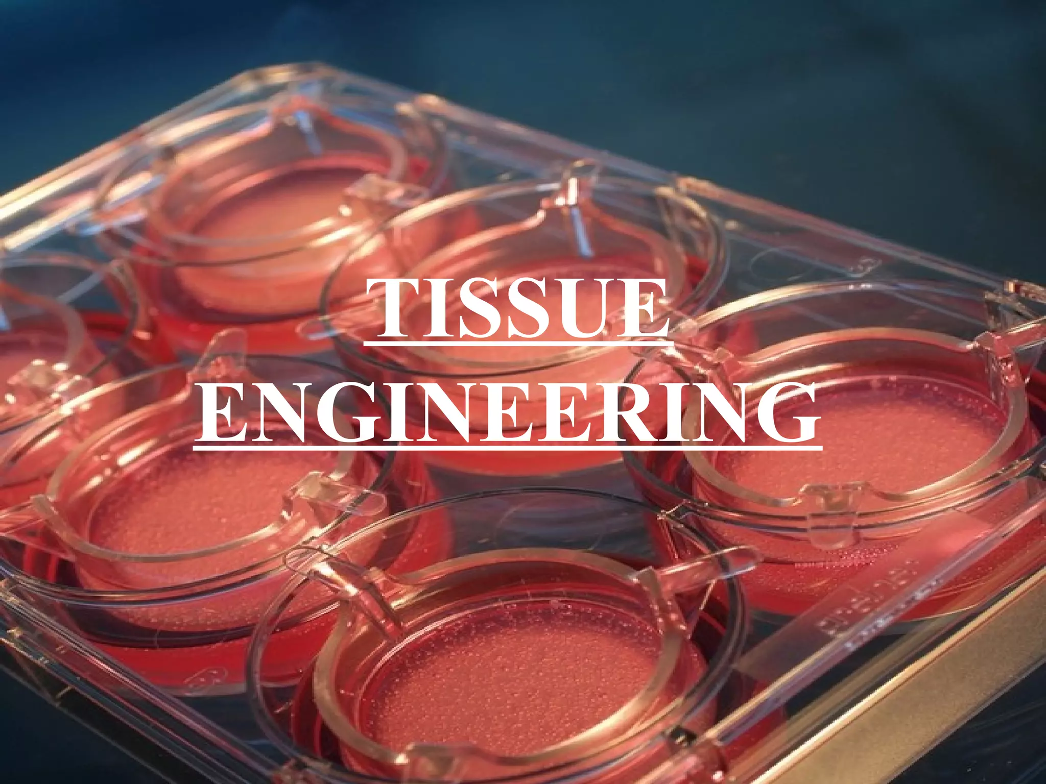 TISSUE
ENGINEERING
 