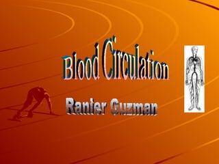 Blood Circulation  Ranier Guzman 