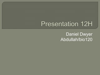 Daniel Dwyer
Abdullah/bio120
 